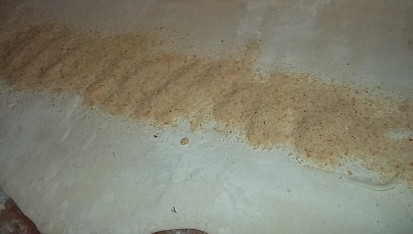 Začátečnický štrúdl s postupem, vyválíme a do středu nasypeme strouhanku...