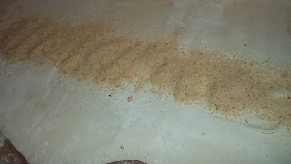 Začátečnický štrúdl s postupem, vyválíme a do středu nasypeme strouhanku...
