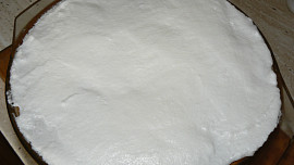 Chlebovec