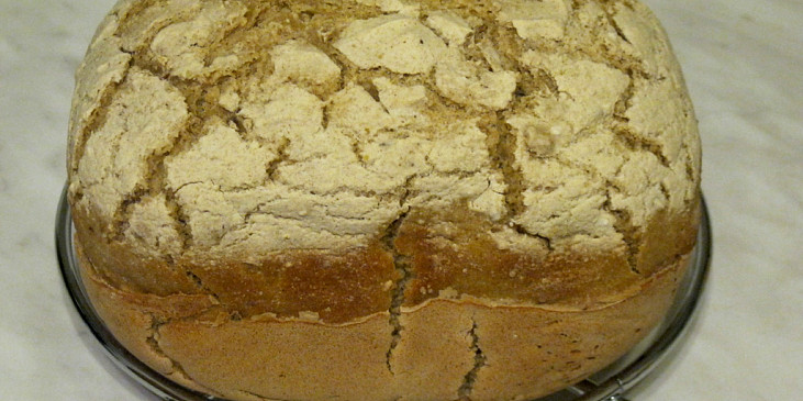 Cibulový chléb s jablečnou vlákninou bez lepku, mléka a vajec