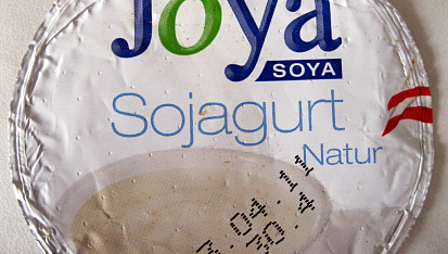 Domácí sojový jogurt II