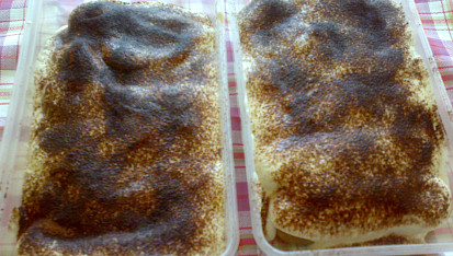 Domácí tiramisu po česku