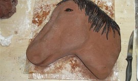 Dort koňská hlava