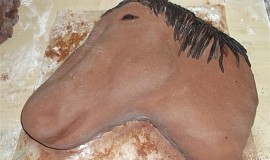 Dort koňská hlava