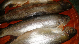 Pstruh  plněný, s vůní bylinek, mandlí a koření