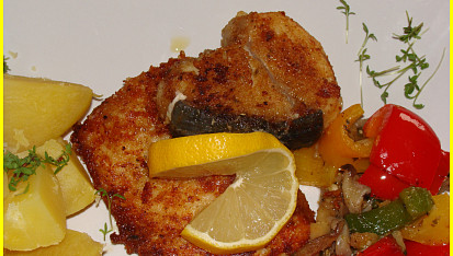 Žraločí steak