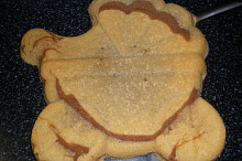korpus