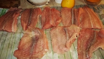 Losos s brusinkovo-smetanovým přelivem a petrželkou, vysušíme, osolíme a pokapeme citronovou šťávou...