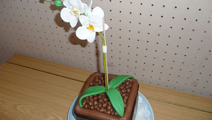 Orchidej