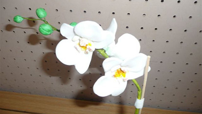 Orchidej