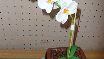 Orchidej