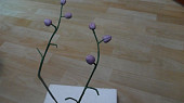 Orchidej (Nabodnutá poupata)