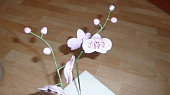 Orchidej (nabodnuté i květy)