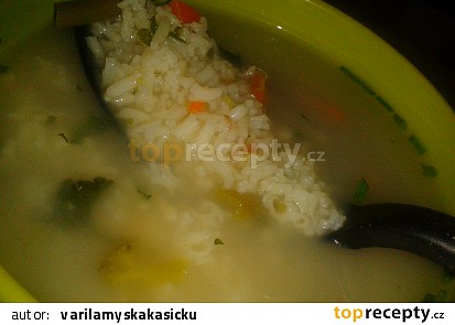 Výborná polévka s rýží, zeleninou, kousky masa a pórkem
