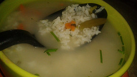 Výborná polévka s rýží, zeleninou, kousky masa a pórkem