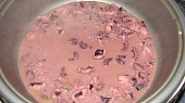 Chobotnice Vulgaris z Tichého oceánu