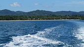 Chobotnice Vulgaris z Tichého oceánu