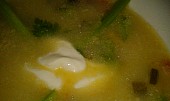 Chřestové polévka krémové konzistence  se zakysanou smetanou