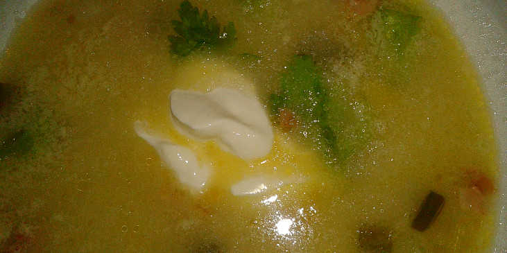 Chřestová polévka krémové konzistence se zakysanou smetanou