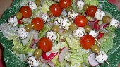 Mozzarella na salátu