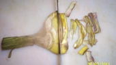 Nudle s artyčoky a tuňákem, Ctvrtky ocistenych artycoku pricne nakrajime na prouzky
