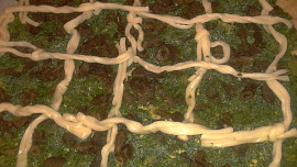 Špenátové houby za mřížemi