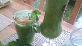 Sedm dní s koktejly, aneb prima dieta