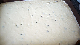 Buchta s rozinkami
