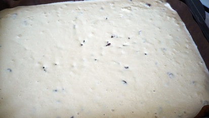 Buchta s rozinkami