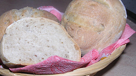 Chlebánky