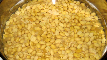 Domácí tempeh, Oloupané boby znovu povaříme