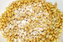 Tempeh starter nasypeme na suché sojové boby, přilijeme ocet