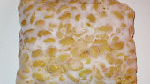 Domácí tempeh (Hotový tempeh v syrovém stavu)