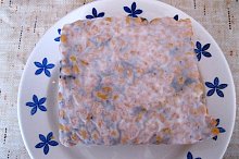 Přezrálý tempeh - příliš dlouhá inkubace - narostly černé spory