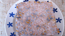 Domácí tempeh