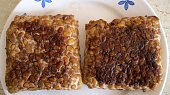 Domácí tempeh