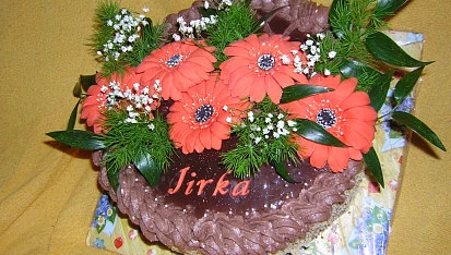 Dortík pro Jirku
