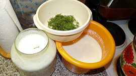 Houbová kefírovka