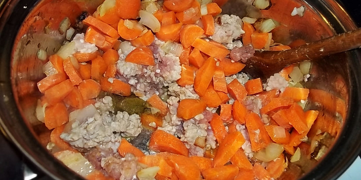 Kořeněná mrkvová polévka s rýží, mletým masem a smetanou (mrkev s masem a cibulí osmažíme a dusíme)