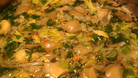 Polévka z  hlívy ústřičné, drštek a  zeleniny