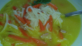 Selská pivní polévka s těstovinami