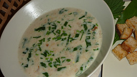 Chlebová polévka s medvědím česnekem a kopřivou