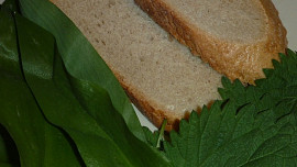 Chlebová polévka s medvědím česnekem a kopřivou