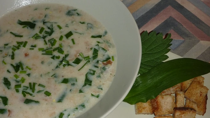 Chlebová polévka s medvědím česnekem a kopřivou