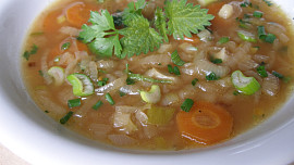 Cibulajda s kopřivami