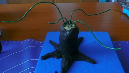 Dort Bonsai, potažení suku a reliéfování kůry