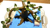 Dort Bonsai (zkompletování celé bonsaie)