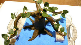 Dort Bonsai