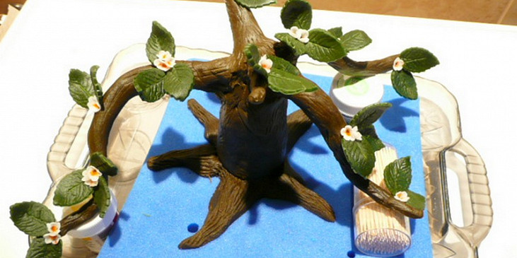 Dort Bonsai (zkompletování celé bonsaie)