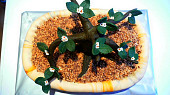 Dort Bonsai (hotový dort)